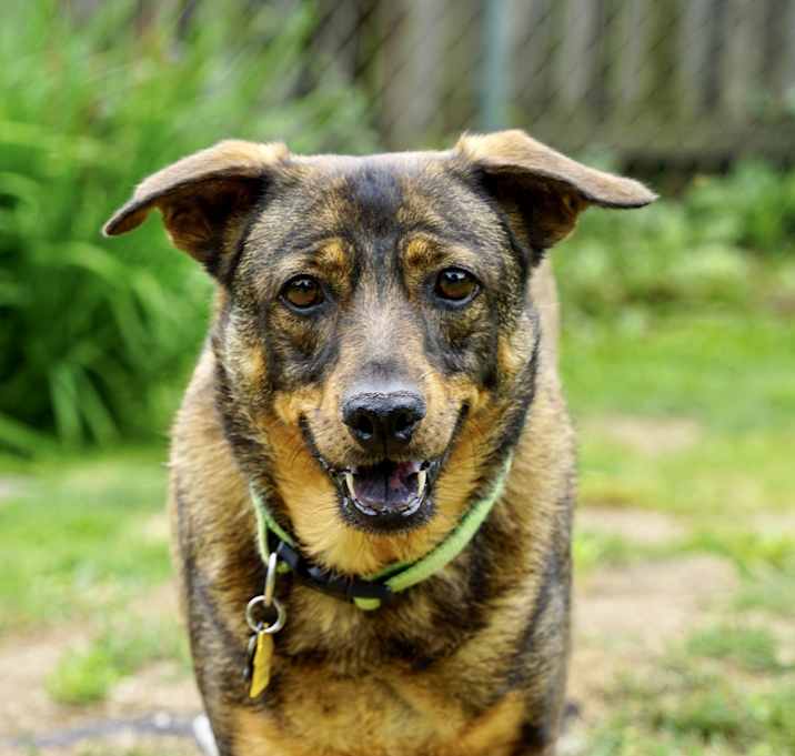 Photo of Bentley