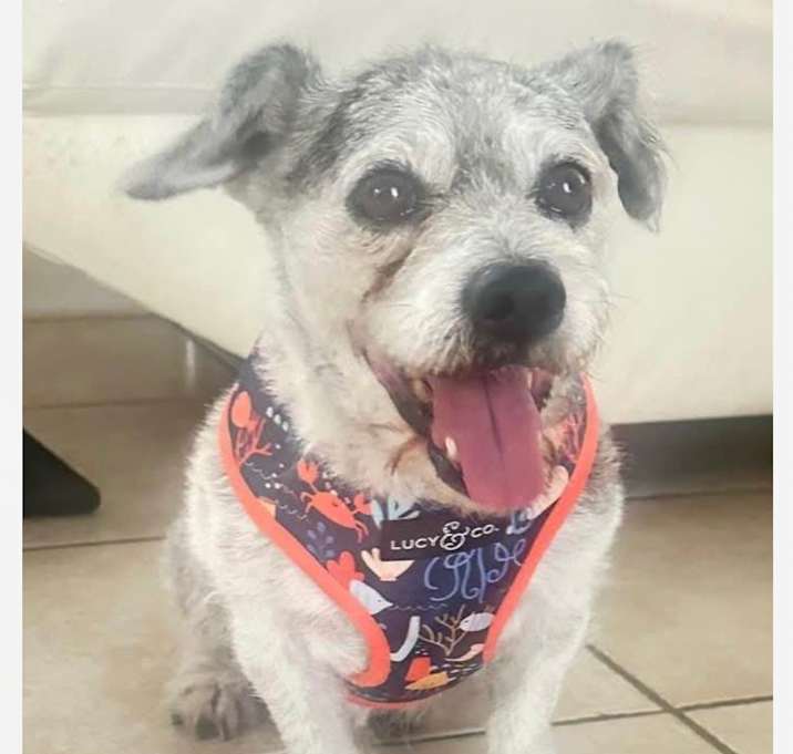 Photo of Ralph