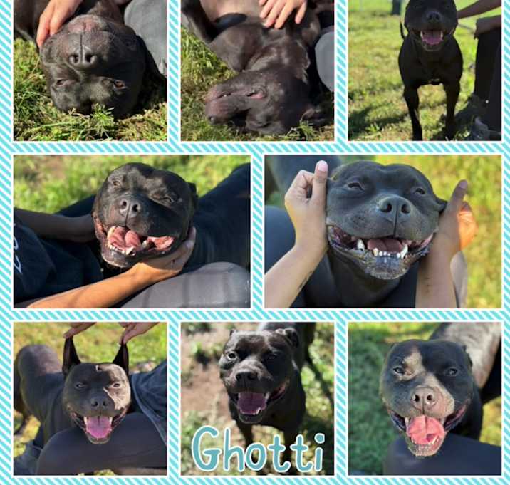 Photo of Ghotti