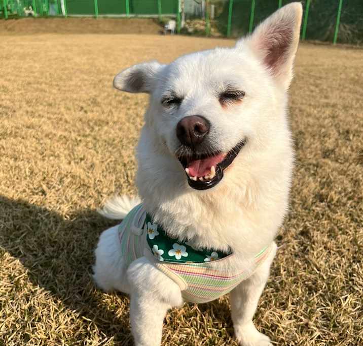 Photo of SUHEE