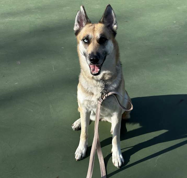 Photo of Duchess