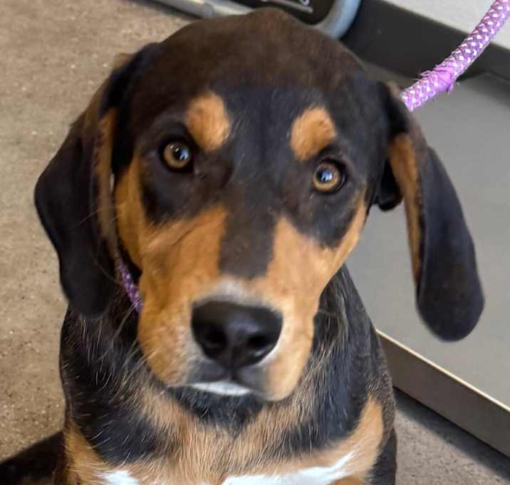 Photo of Maggie