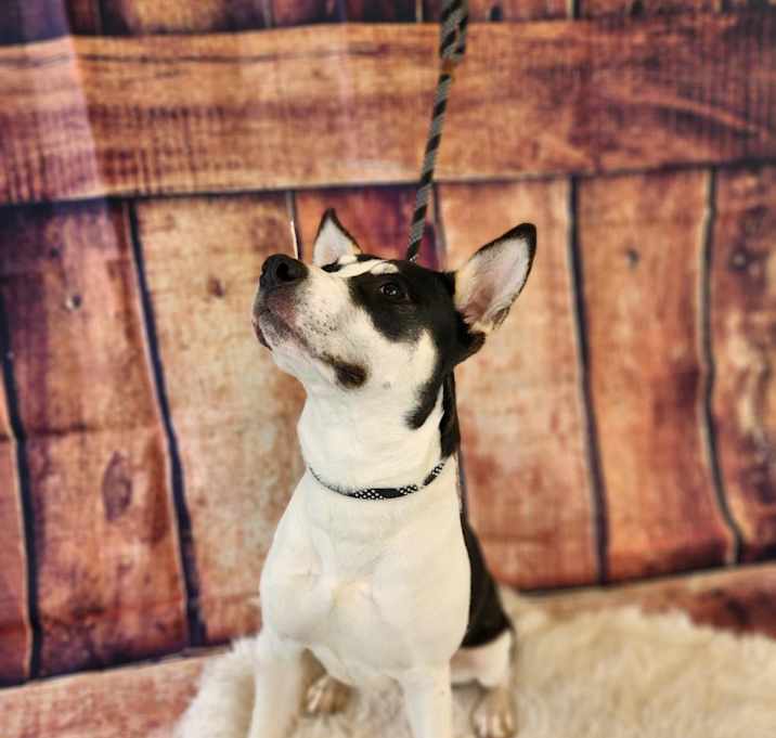 Photo of Lola JuM