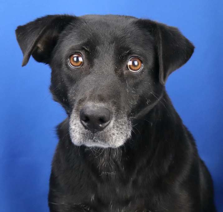 Photo of CharlieBeth - 092506S