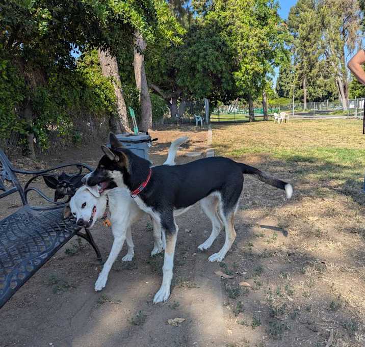 Photo of trouble