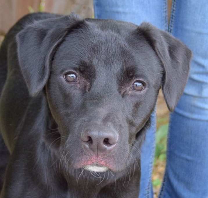 Photo of Charlie