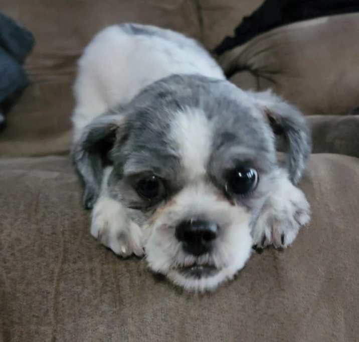 Photo of Zeus