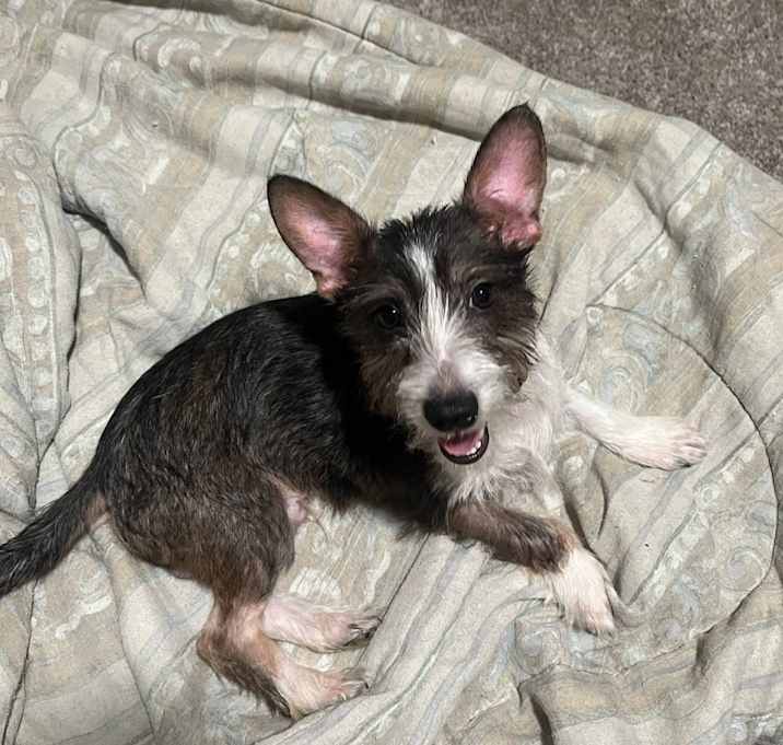 Photo of Monty