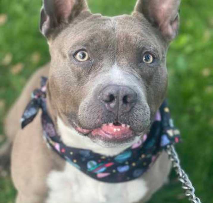 Photo of Athena