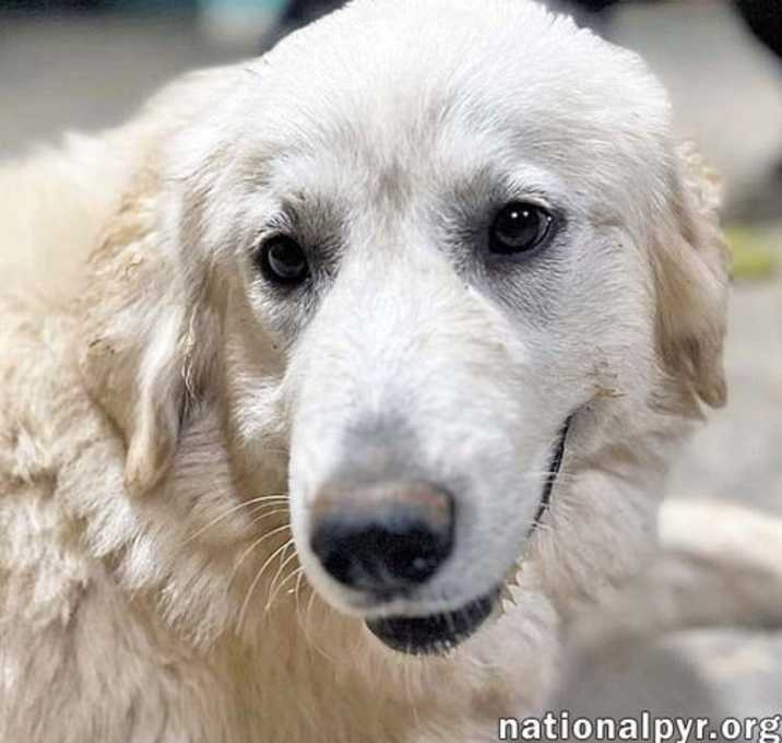 Photo of Pearl in AL - A Social Sweetheart!