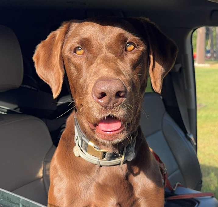 Photo of Oakley