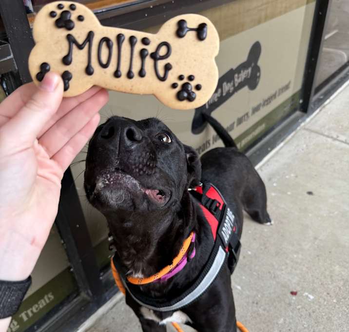 Photo of Mollie
