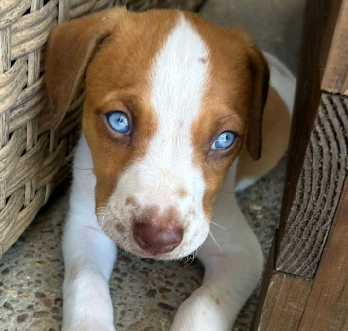 Photo of Lexie
