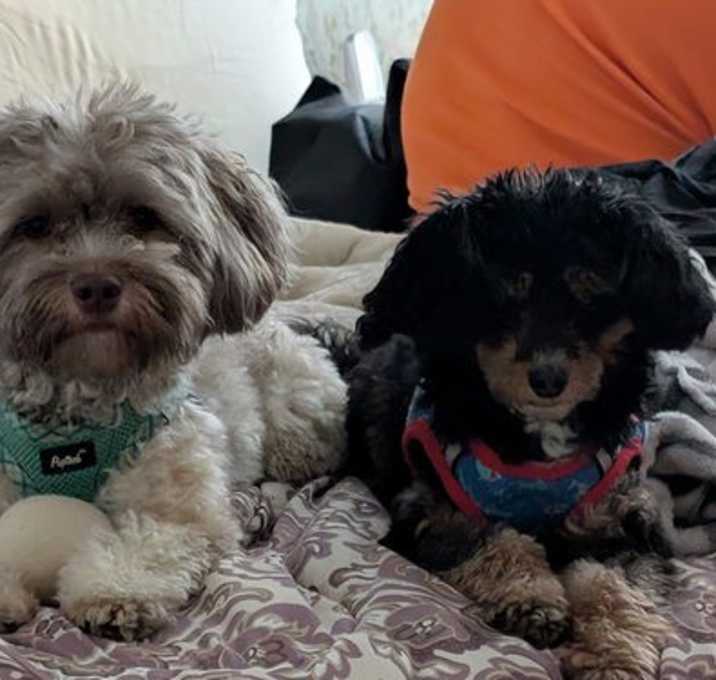 Photo of Acorn & Filbert