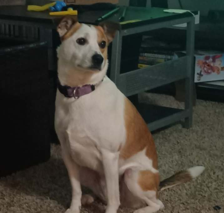 Photo of Lexi