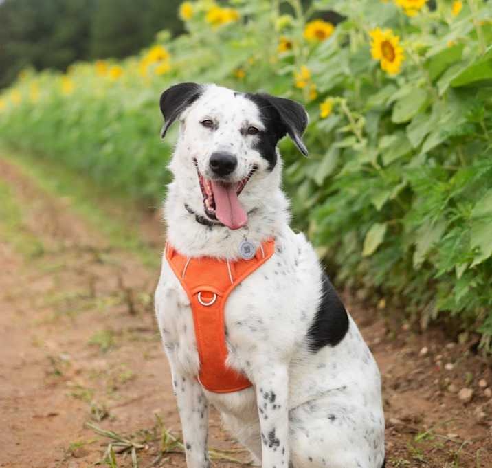 Photo of Wilma