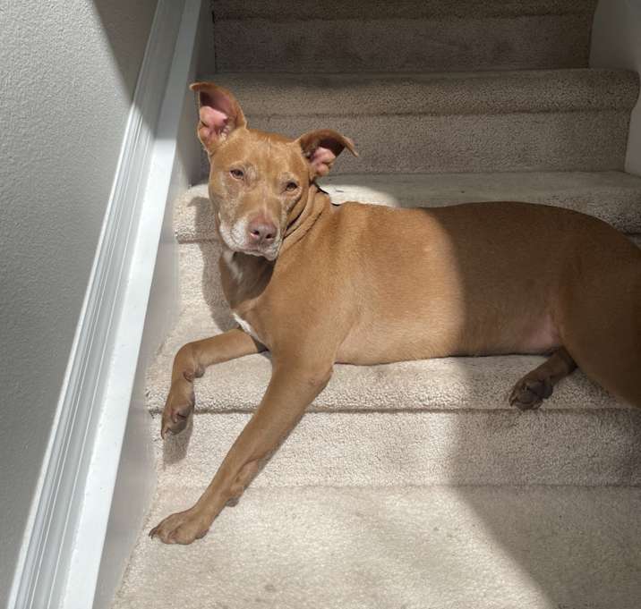 Photo of Kinsley