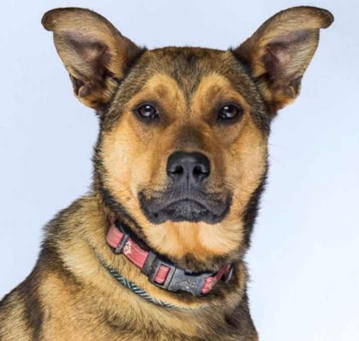 Photo of Taz