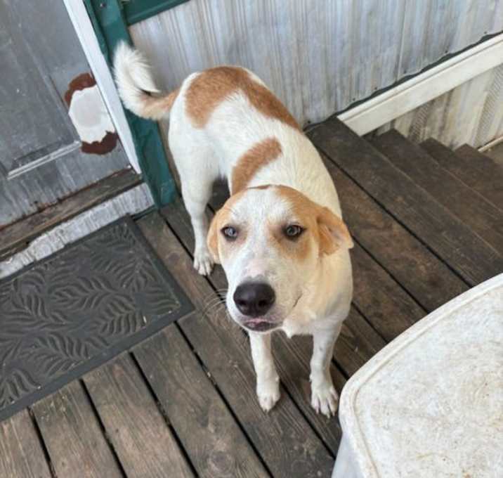 Photo of Lillybell