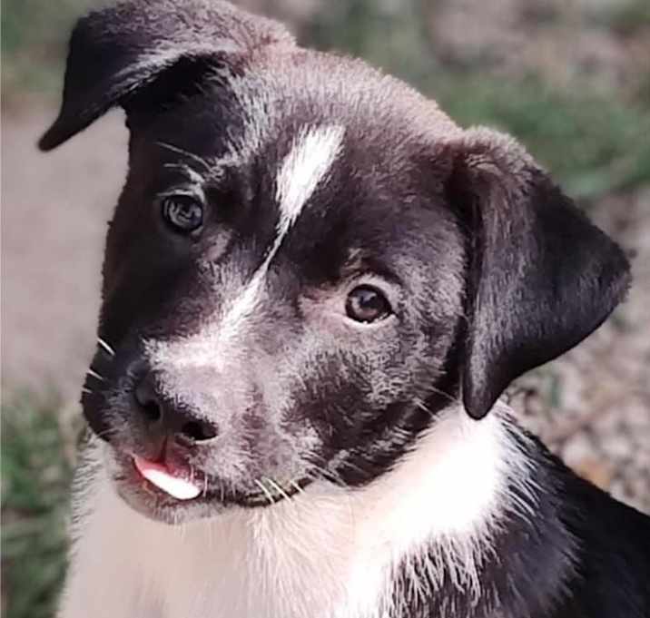 Photo of Finn