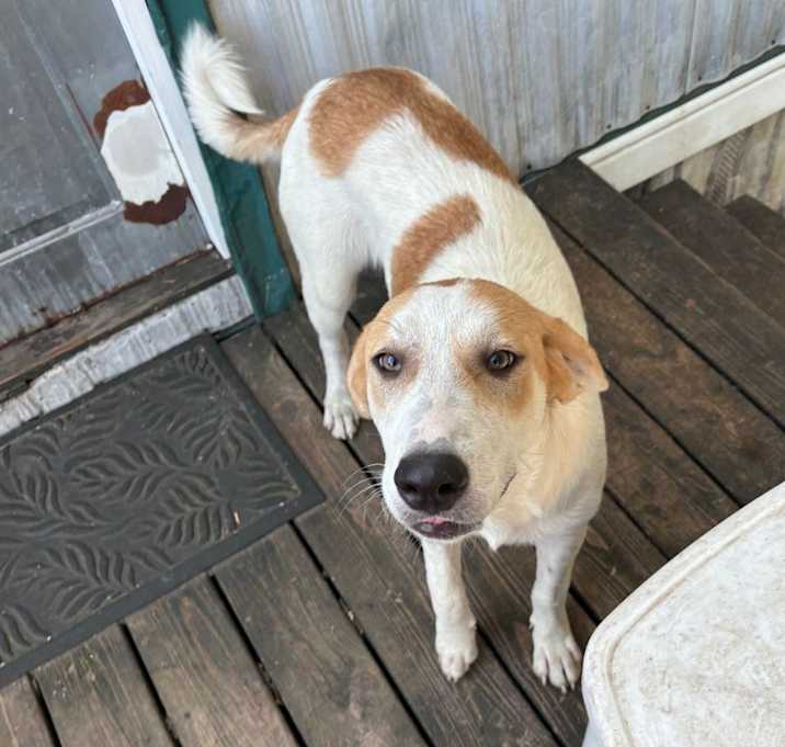 Photo of Lillybell