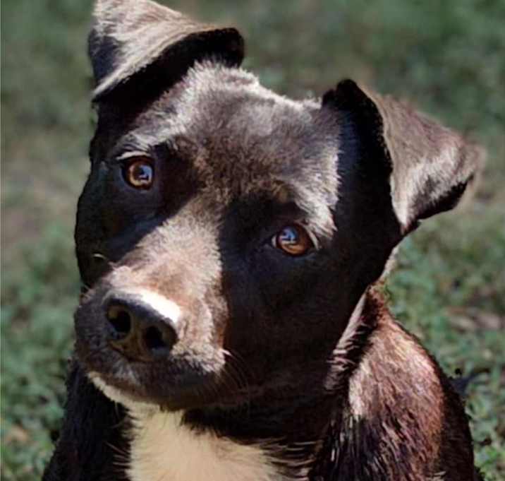 Photo of Penelope