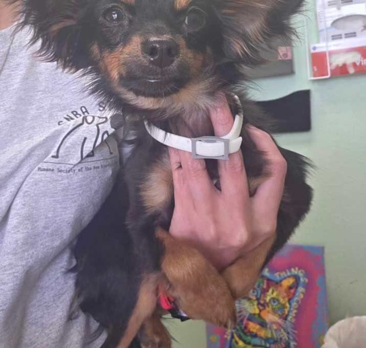 Photo of Tuck