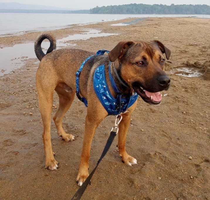 Photo of Finn