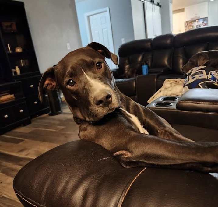 Photo of Nigel