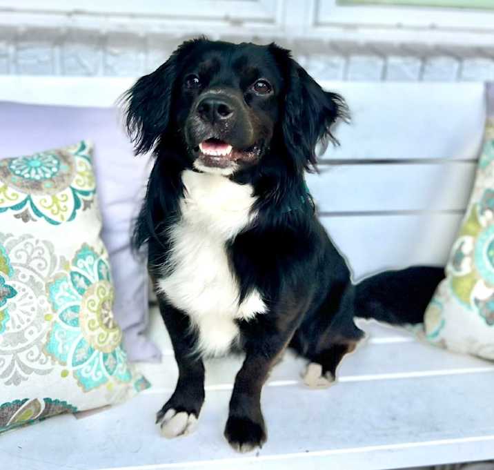 Photo of Axle