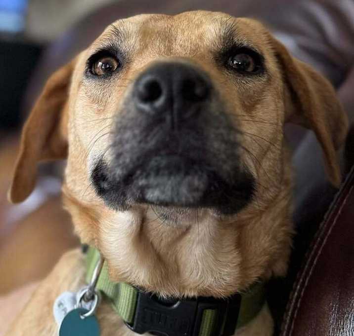 Photo of Penny