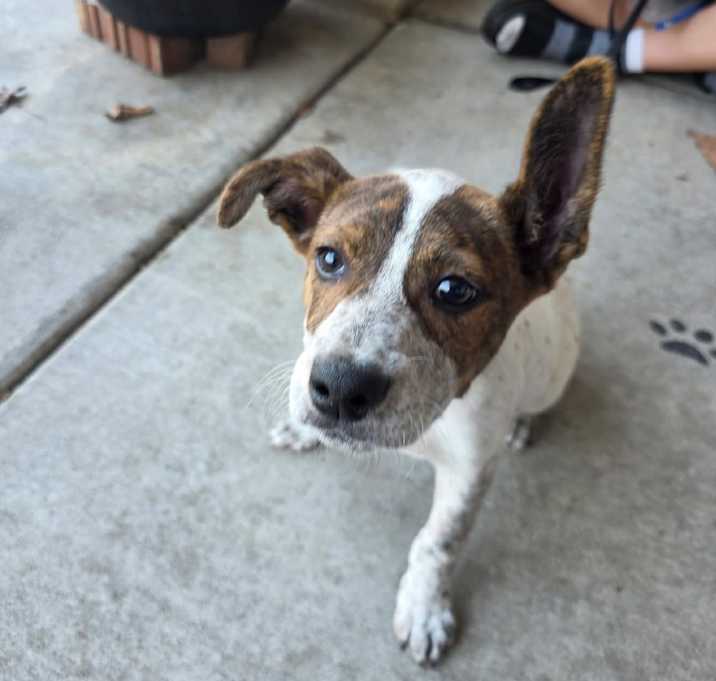 Photo of Junior