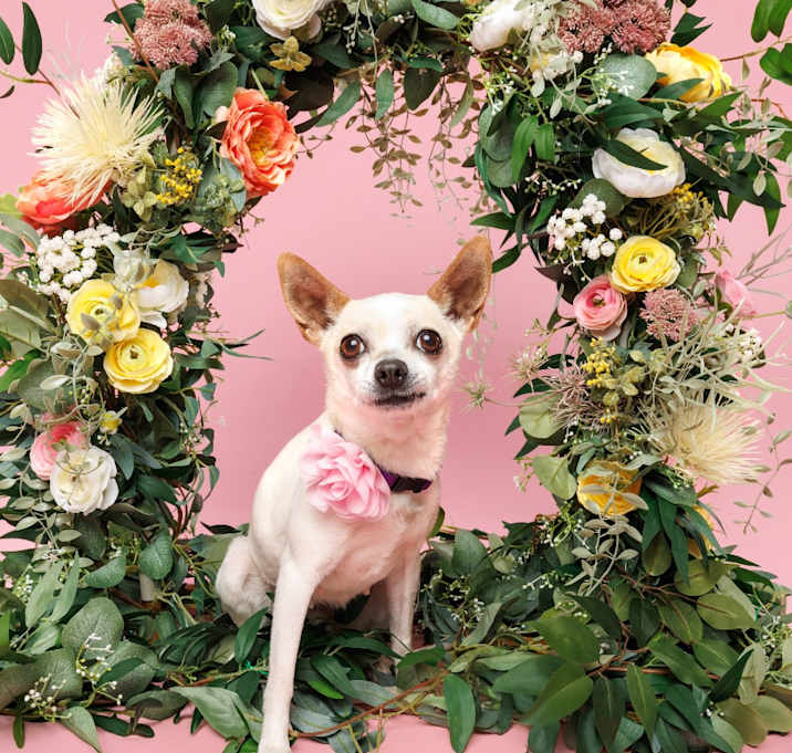 Photo of Fiona