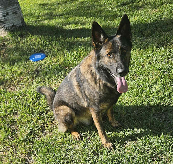 Photo of OBI
