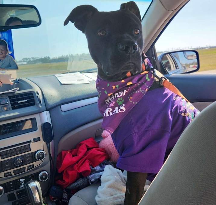 Photo of Cash