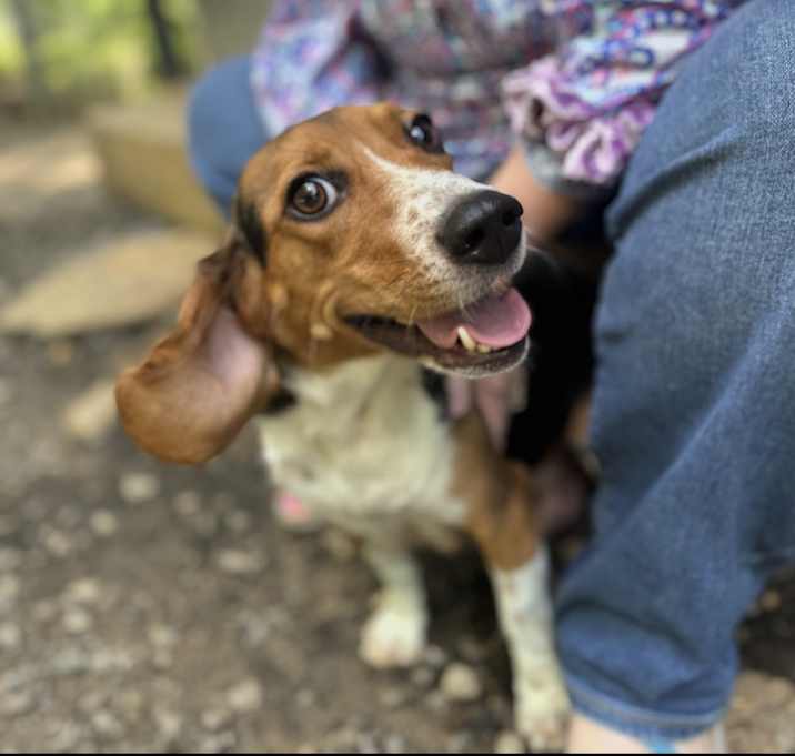 Photo of Betsey