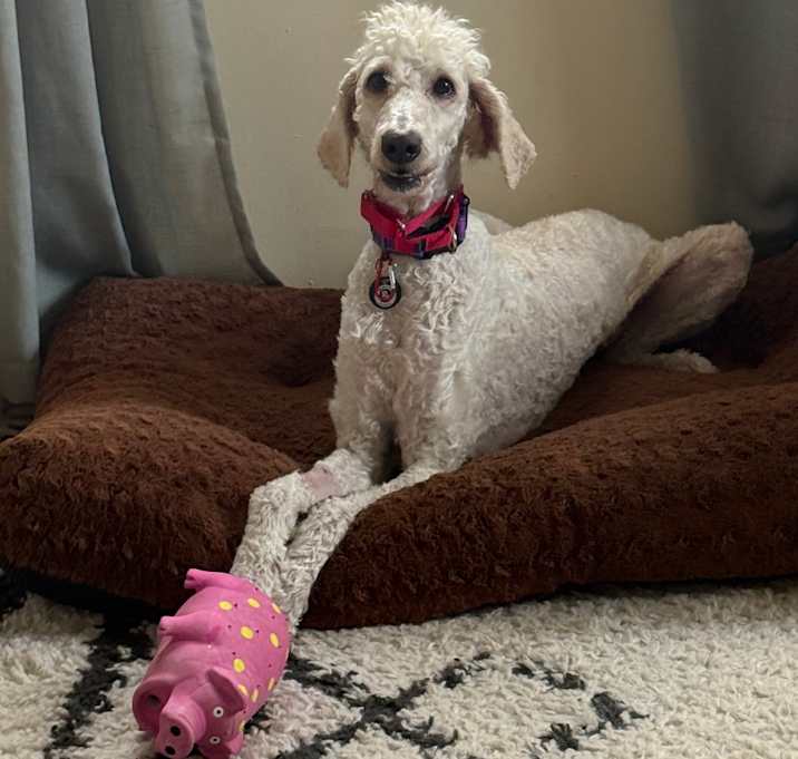 Photo of Chloe