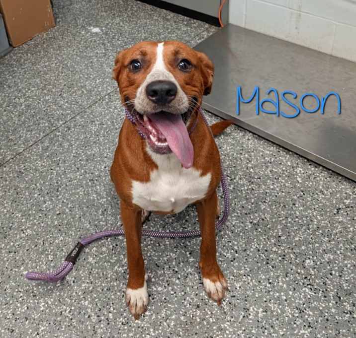 Photo of Mason