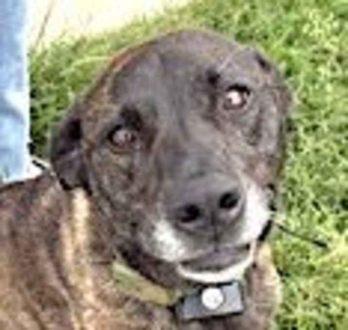 Photo of Skye