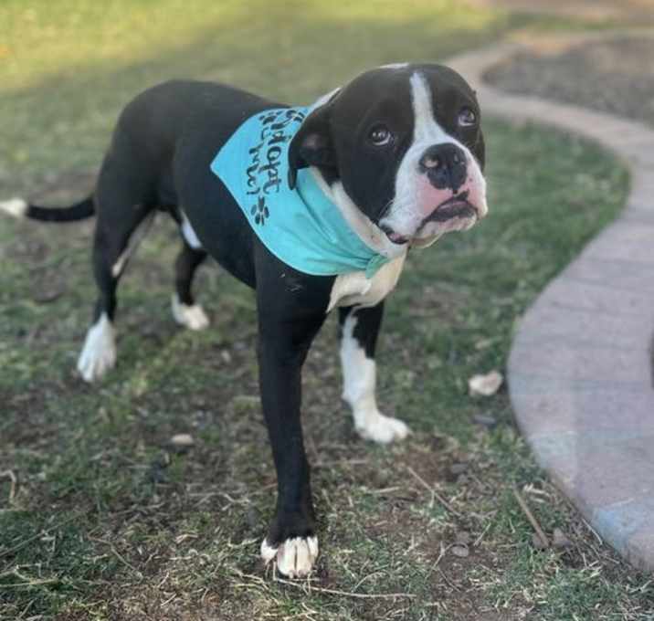 Photo of Zuzu