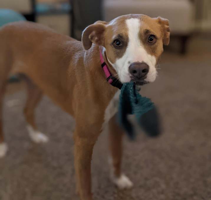 Photo of Neela