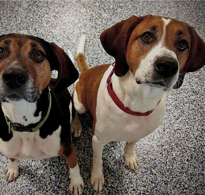 Photo of PARKER & PORTER
