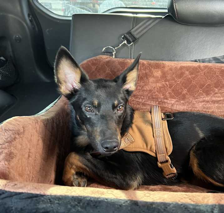 Photo of Aero