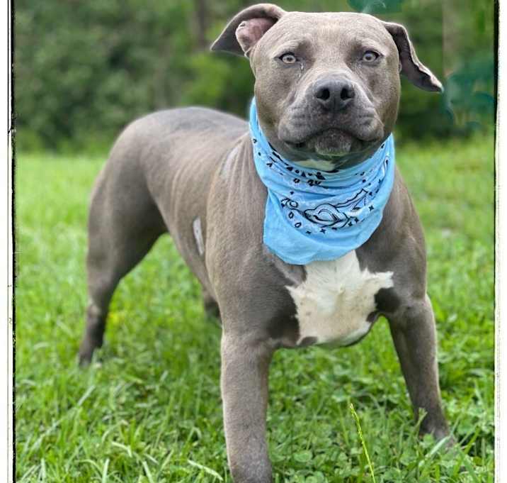 Photo of Cash 2