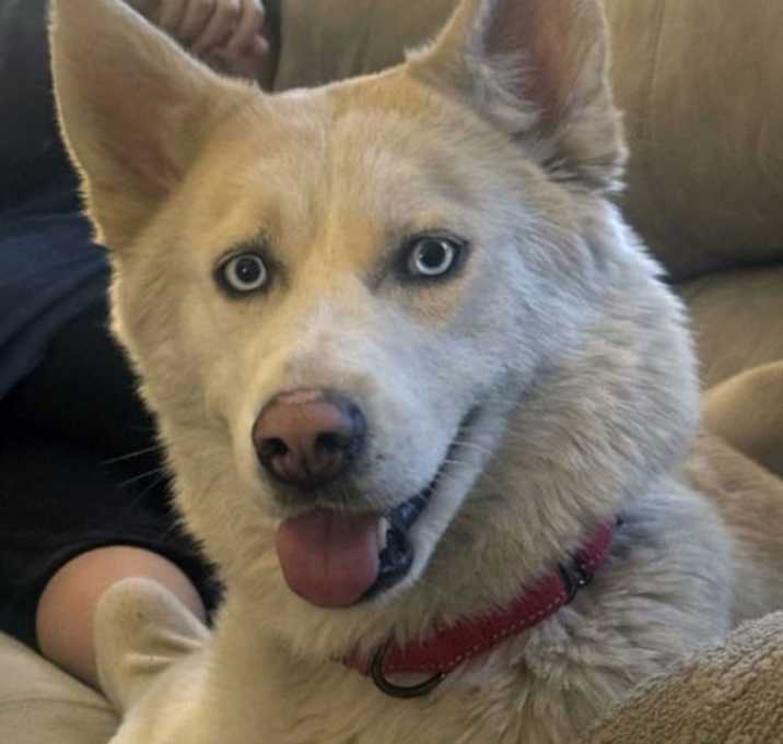 Photo of Luna