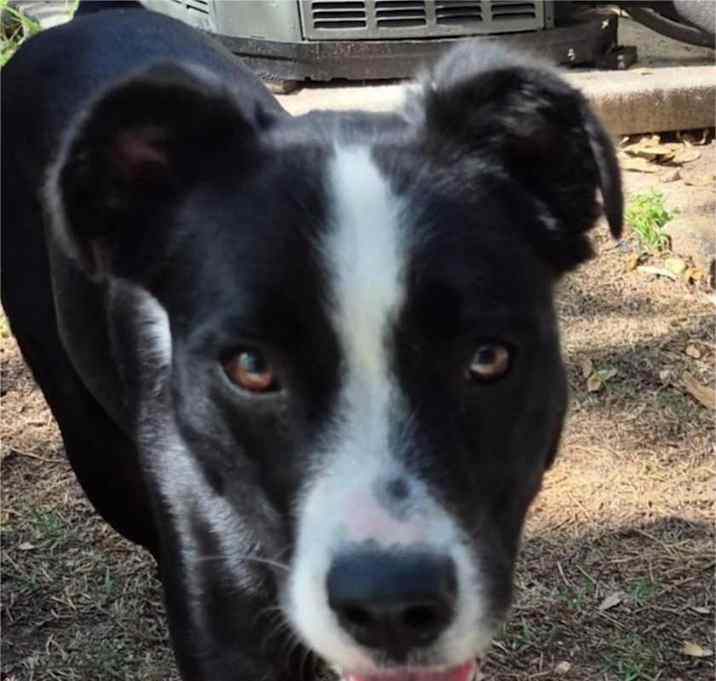 Photo of Clyde