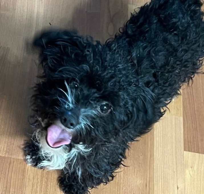 Photo of Gerold