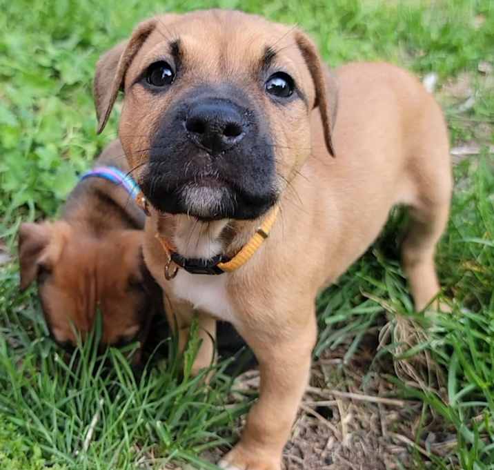 Photo of Cali