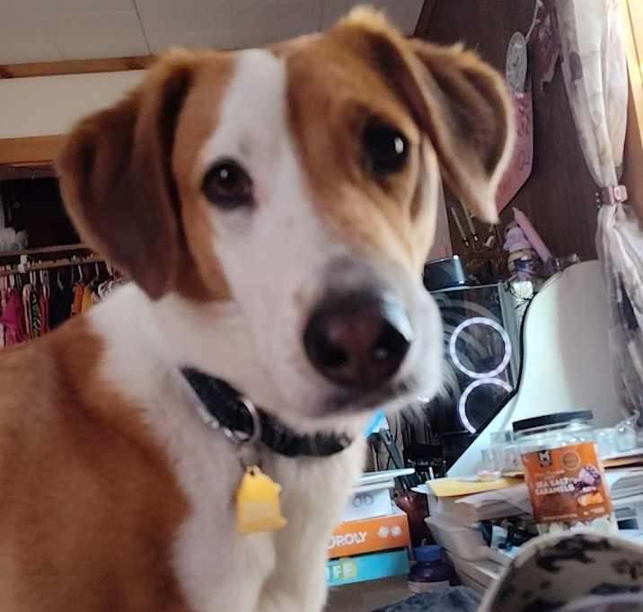 Photo of Finley
