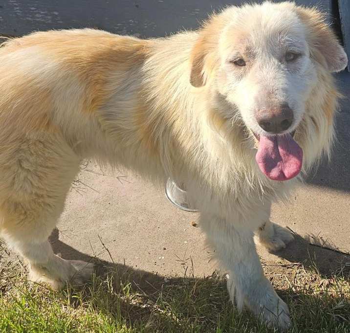 Photo of Yeti